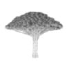 Dragon Tree - Image 8