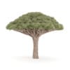 CGAxis Models Volume 85 Exotic Plants II - Image 13