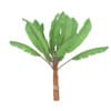 Banana Plant - Image 3