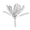 Banana Plant - Image 4