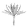 Banana Plant - Image 6