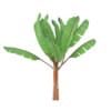 Banana Plant - Image 7