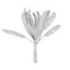 Banana Plant - Image 8