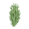 CGAxis Models Volume 85 Exotic Plants II - Image 15