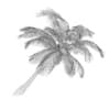 Sloping Palm Tree - Image 2