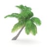 Sloping Palm Tree - Image 3
