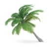 Sloping Palm Tree - Image 5