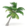 Sloping Palm Tree - Image 7