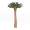 Baobab Tree - Image 5