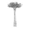 Baobab Tree - Image 6