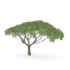 CGAxis Models Volume 85 Exotic Plants II - Image 18