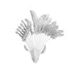 Crane Flower Plant - Image 4