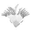 Crane Flower Plant - Image 6