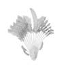 Crane Flower Plant - Image 8