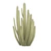 CGAxis Models Volume 85 Exotic Plants II - Image 21