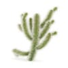 CGAxis Models Volume 85 Exotic Plants II - Image 22