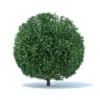 Hedges 3D Models Collection - Volume 89 - Image 2