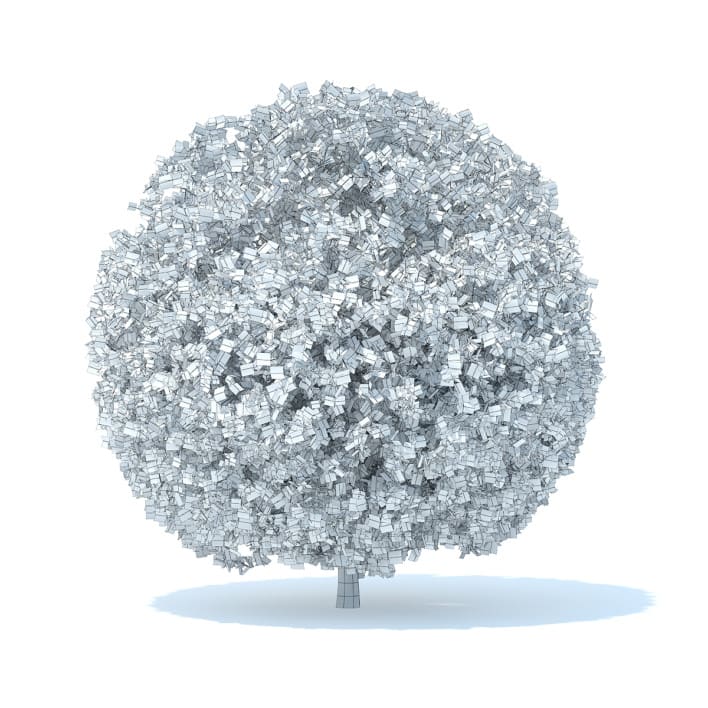 Spherical Shrub 3D Model