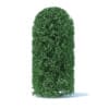 Hedges 3D Models Collection - Volume 89 - Image 4