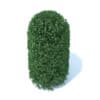 Tall Round Shrub 3D Model