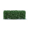 Hedges 3D Models Collection - Volume 89 - Image 5
