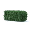 Straight Hedge 3D Model