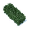 Straight Hedge 3D Model