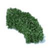 Curved Hedge 3D Model
