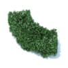 Curved Hedge 3D Model