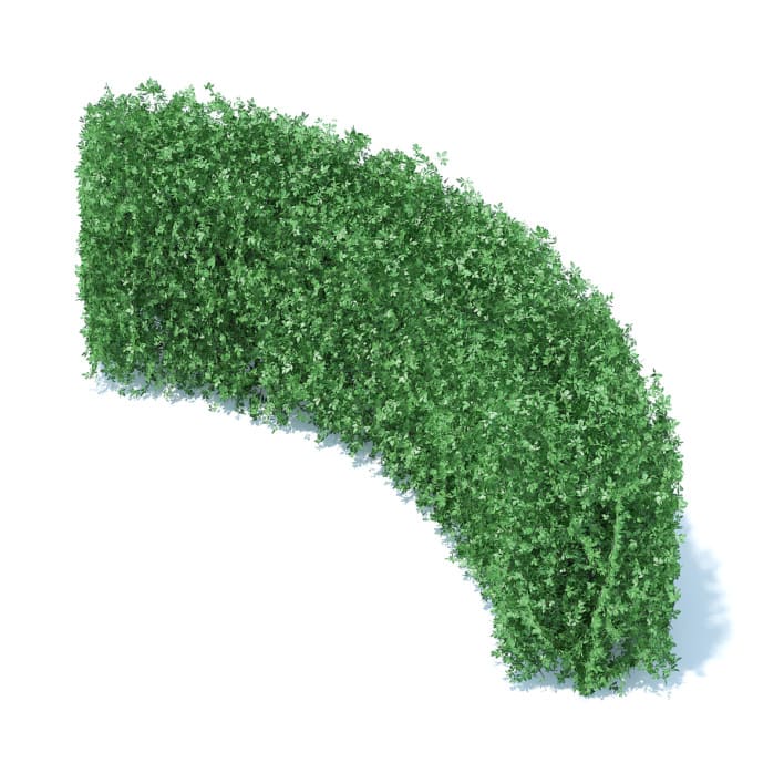 Curved Hedge 3D Model