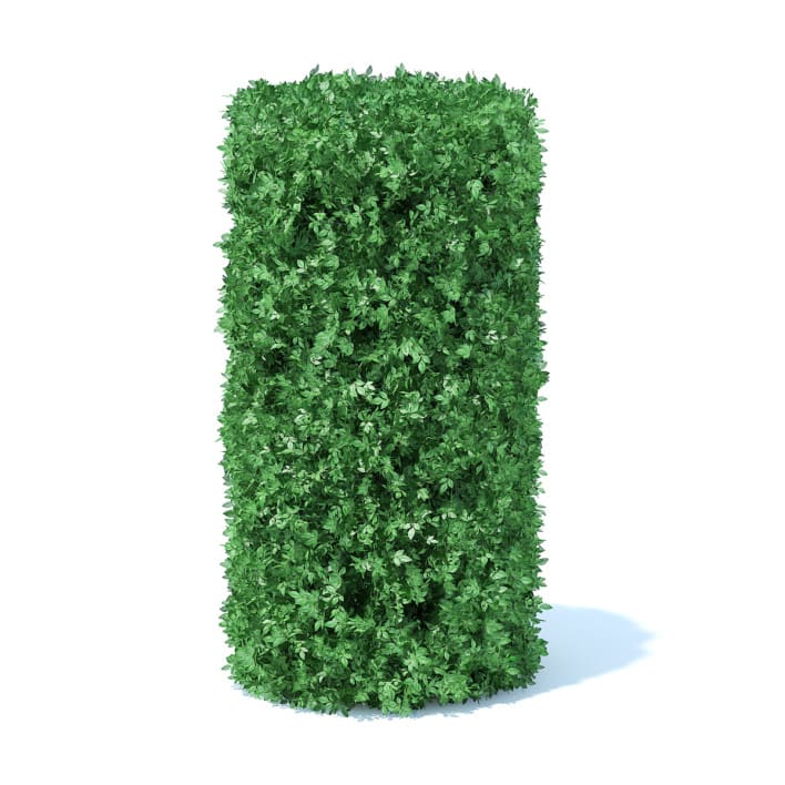 Cylindrical Hedge 3D Model