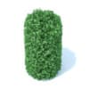Cylindrical Hedge 3D Model