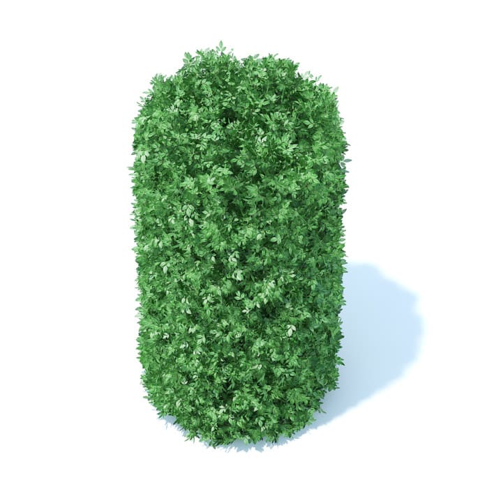 Cylindrical Hedge 3D Model