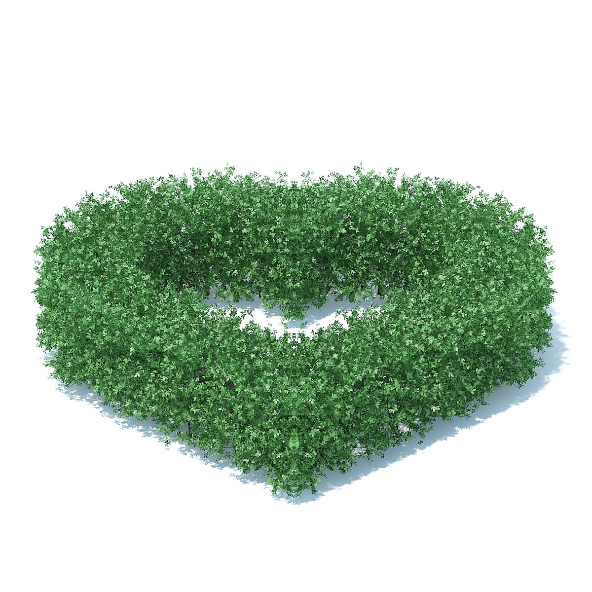 Heart Shaped Hedge 3D Model