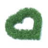 Heart Shaped Hedge 3D Model