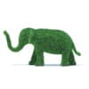 Hedges 3D Models Collection - Volume 89 - Image 15
