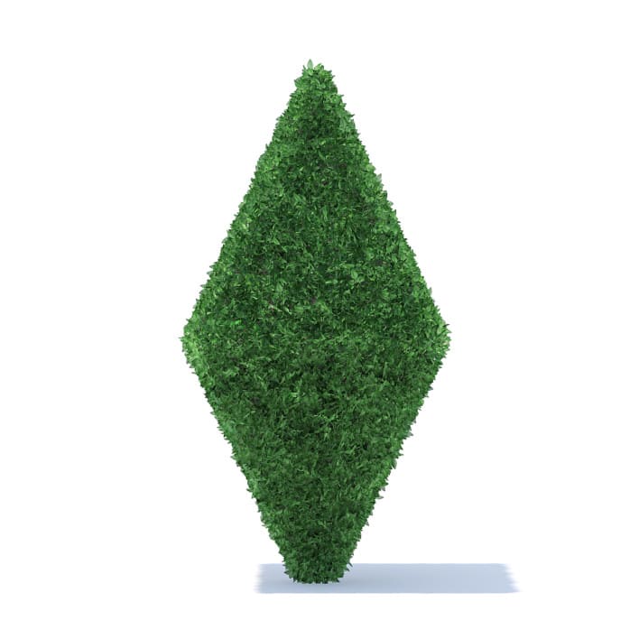 Diamond Shaped Hedge 3D Model