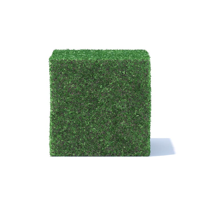 Cube Shaped Hedge 3D Model