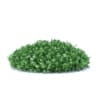 Hedges 3D Models Collection - Volume 89 - Image 20