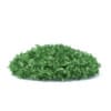 Short Round Hedge 3D Model