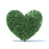 Hedges 3D Models Collection - Volume 89 - Image 22