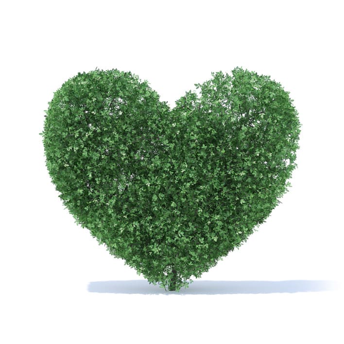 Heart Shaped Shrub 3D Model