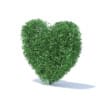 Heart Shaped Shrub 3D Model