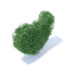 Heart Shaped Shrub 3D Model