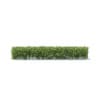 Hedges 3D Models Collection - Volume 89 - Image 23