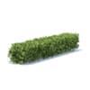 Straight Hedge 3D Model
