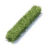 Straight Hedge 3D Model