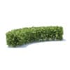Hedges 3D Models Collection - Volume 89 - Image 24
