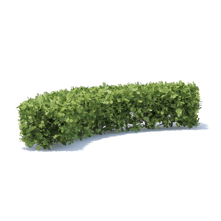 Curved Hedge 3D Model
