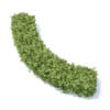 Curved Hedge 3D Model